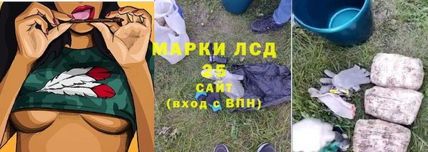 ешки Белокуриха